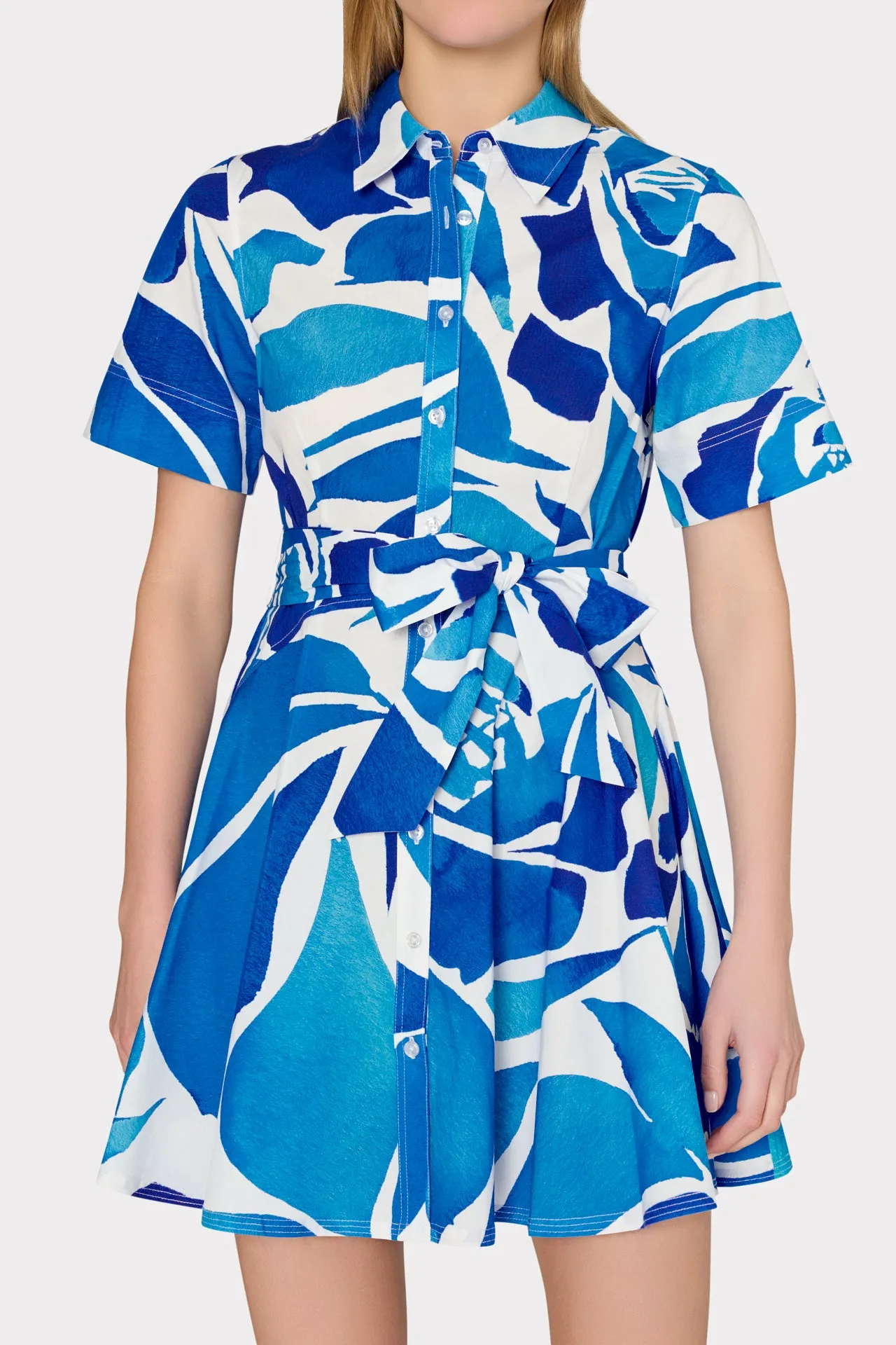 Dream Rose Poplin Mini Dress