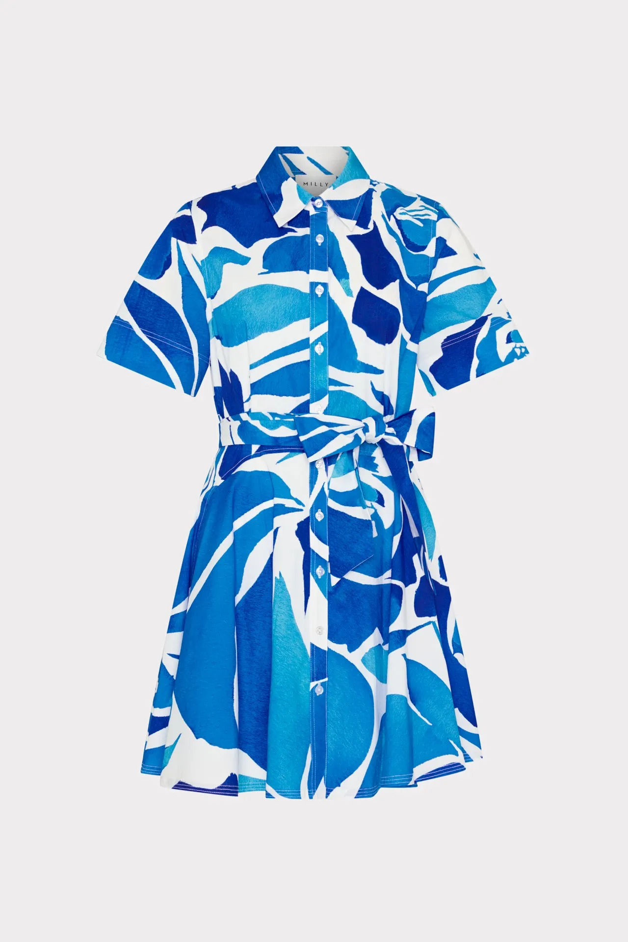 Dream Rose Poplin Mini Dress