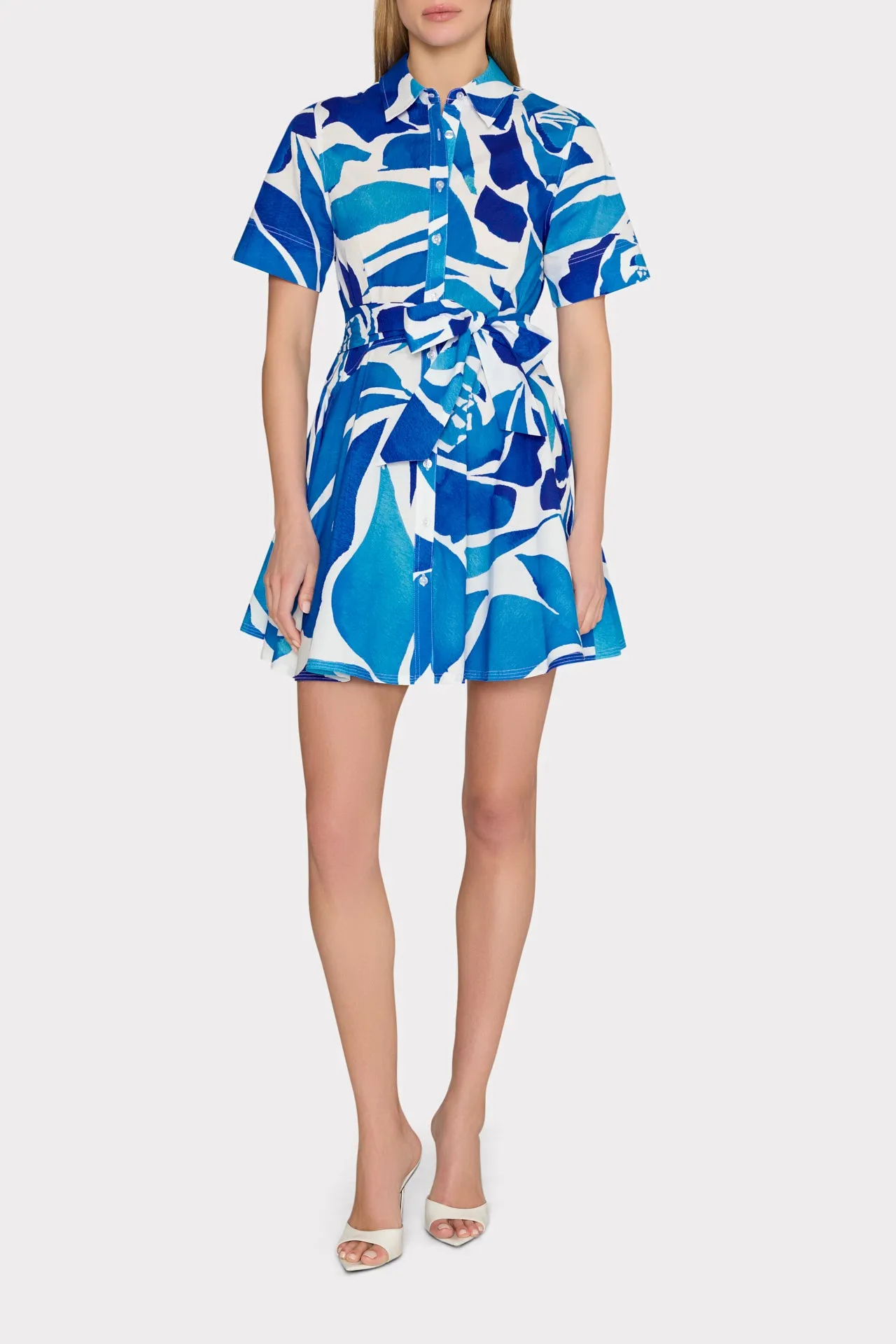 Dream Rose Poplin Mini Dress
