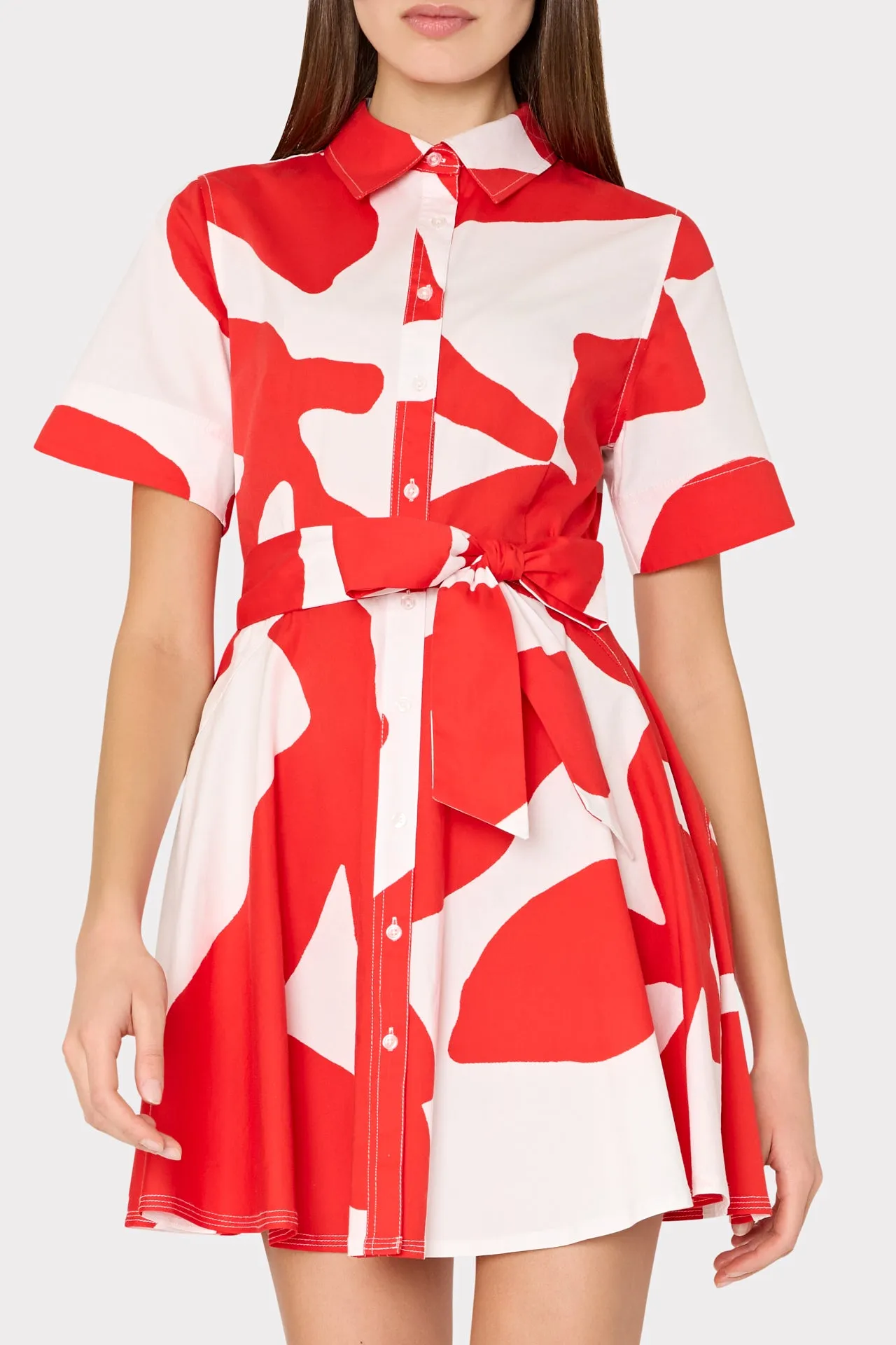 Grand Foliage Poplin Mini Dress